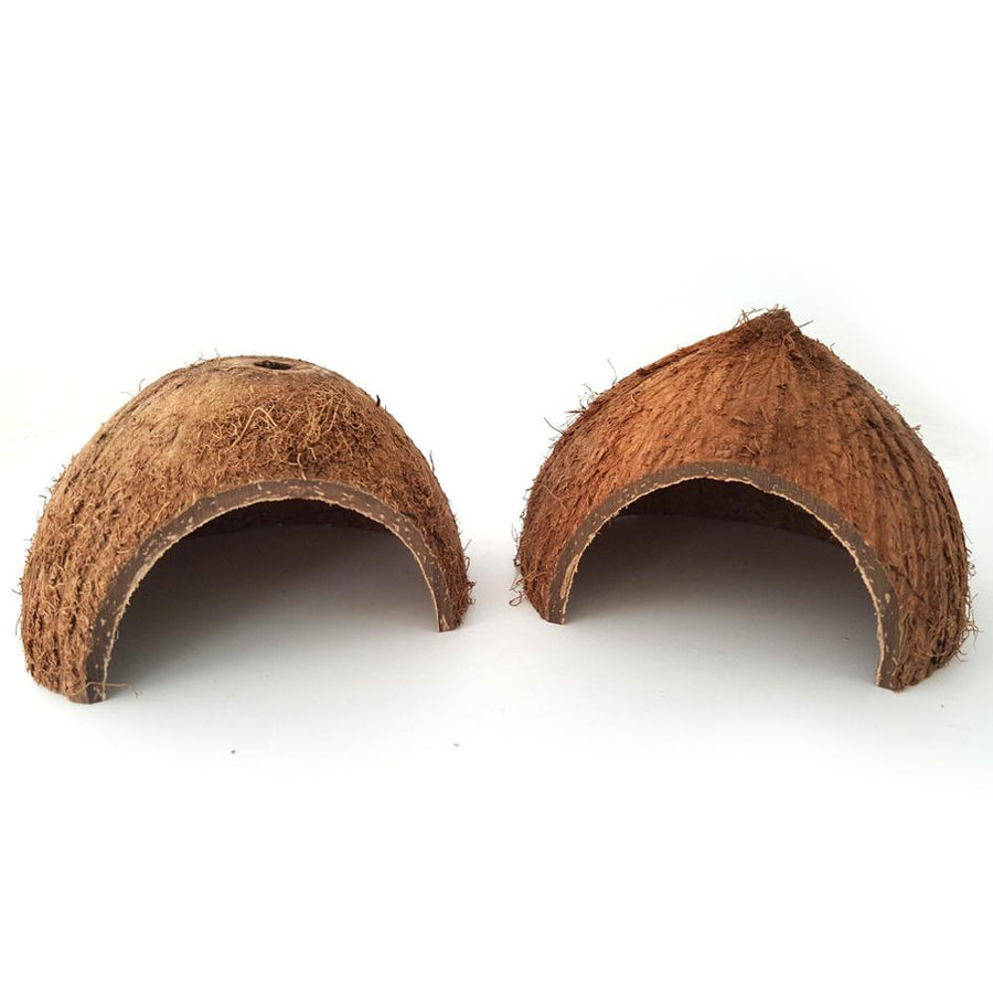 Natural Coconut Reptile Hideout — 2 Pack