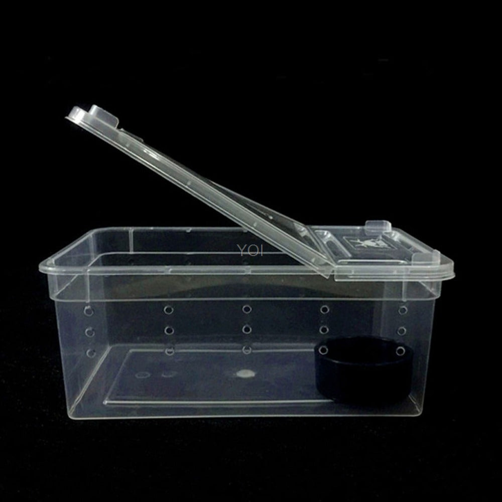 Clear Reptile Transport & Feeding Box — 19cm